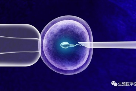 女人南通代生孩子的最佳年龄段 一辈子生几个孩子最好
